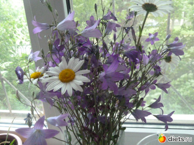 33 ����: ��� ���