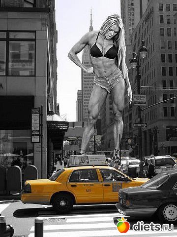 ����������