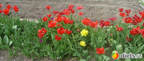 16 ����: ��� ���