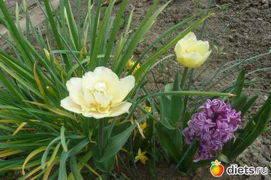 18 ����: ��� ���