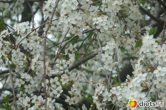 20 ����: ��� ���