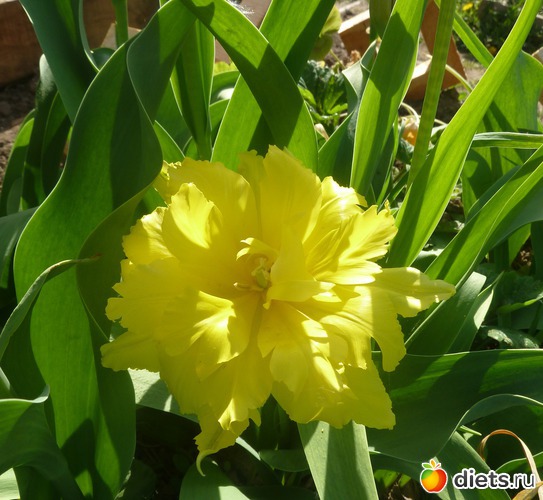 22 ����: ��� ���