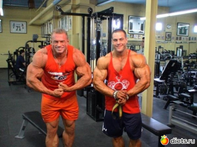 3 ����: �����))