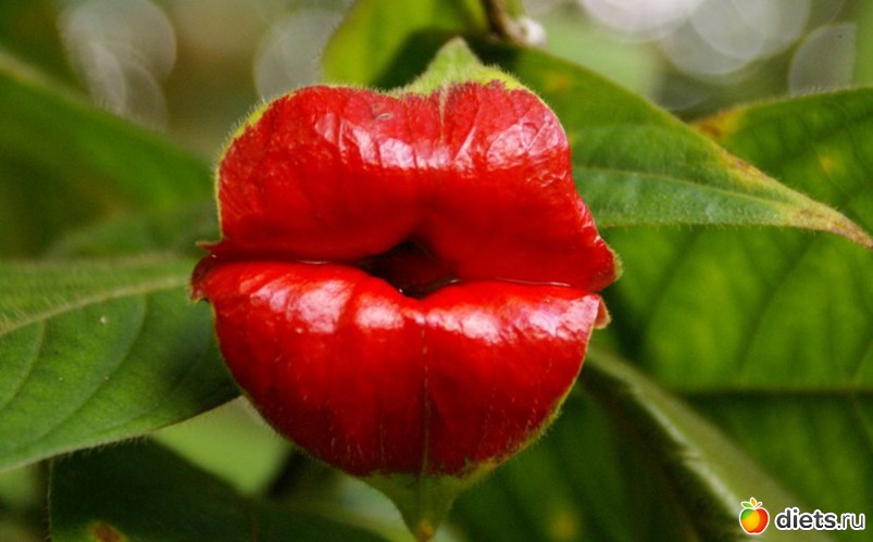 5 ����: ������ ����