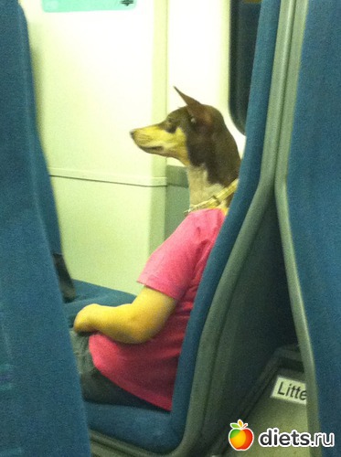 11 ����: ������ ����