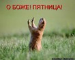 Чем мне нравится утренняя пятница...