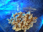 Pop corn ricoperti al cioccolato