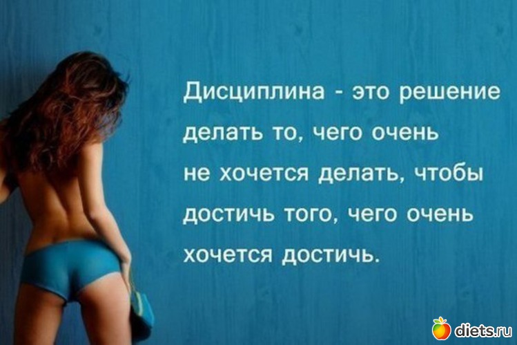 6 ����: �����