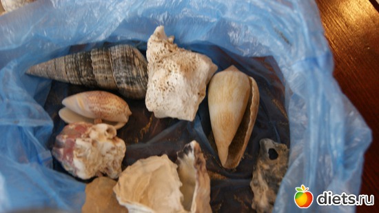 10 ����: ������� ����� �����-���������. 2013