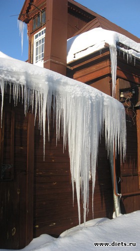 12 фото: Фото