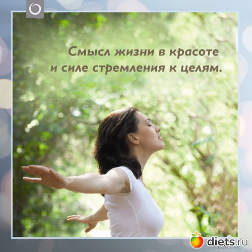 76 ����: ��������