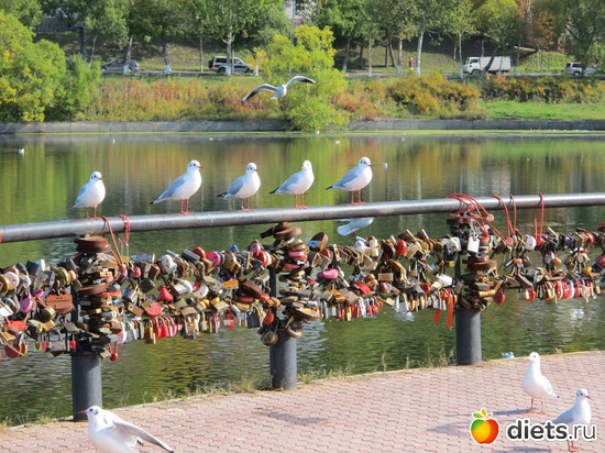 4 ����: ��� ������ ��������