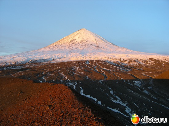 12 ����: ��� ������ ��������