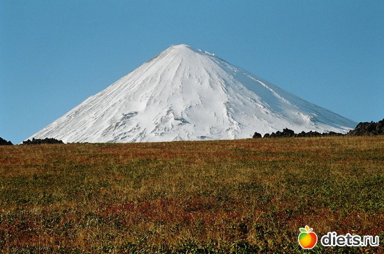 1 ����: ��� ������ ��������