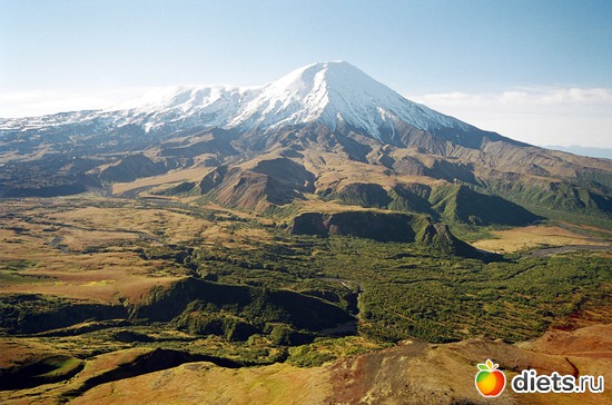 8 ����: ��� ������ ��������