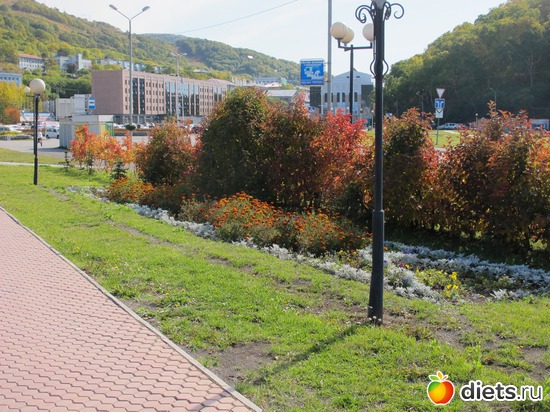 2 ����: ��� ������ ��������