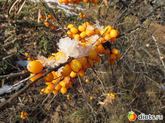 14 ����: ��� ������ ��������