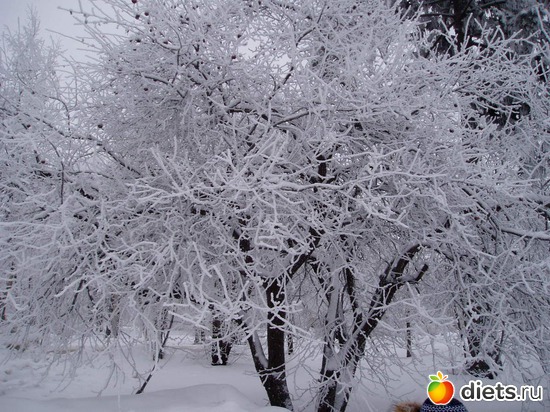 2 ����: ������ �������