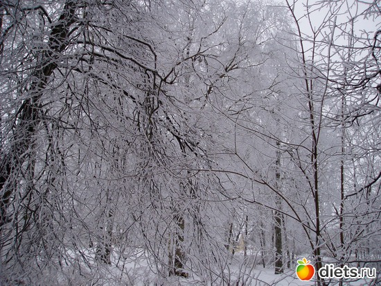 3 ����: ������ �������