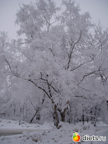 5 ����: ������ �������