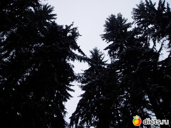 6 ����: ������ �������