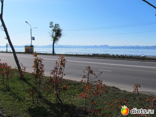 3 ����: ��� ������ ��������