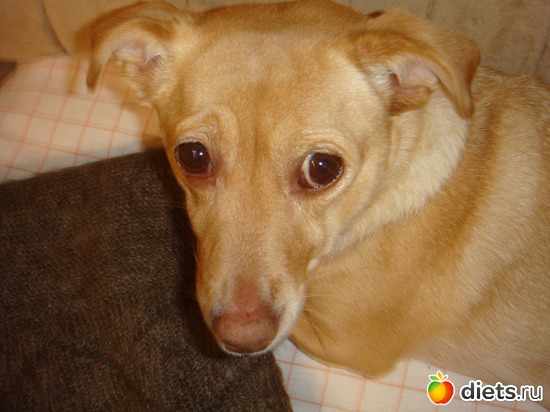 ��� ��� ����?, ������: ��� ������ ����