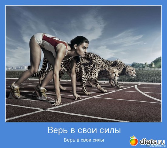 12 ����: ��� ����������