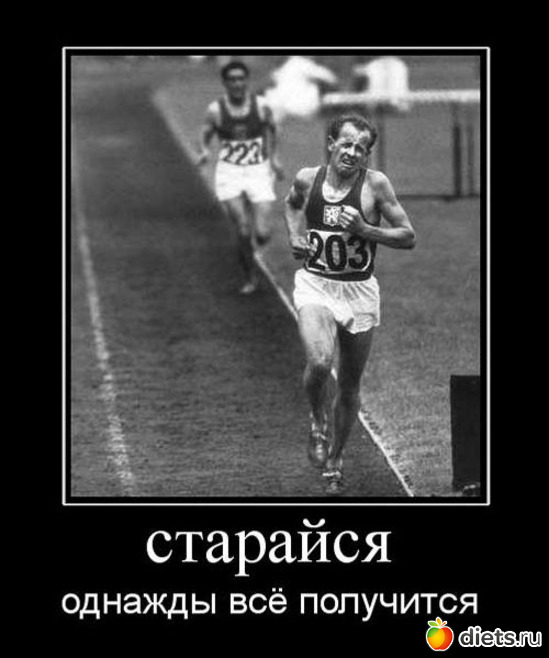 15 ����: ��� ����������