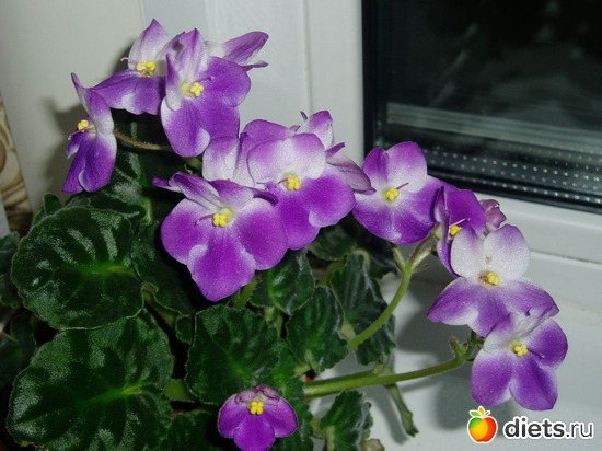 1 ����: ������