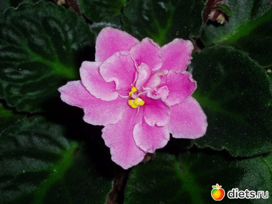 3 ����: ������