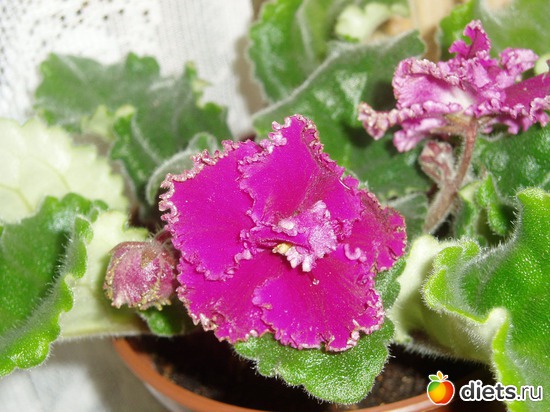 6 ����: ������