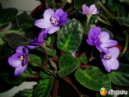 8 ����: ������