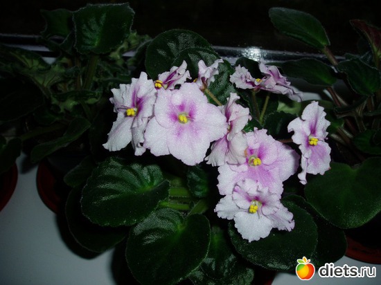 9 ����: ������