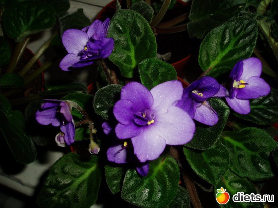 10 ����: ������