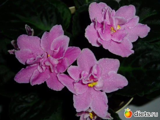 11 ����: ������