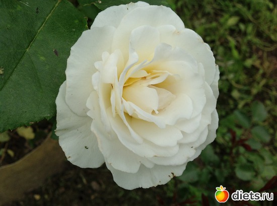 9 ����: ��� ����.