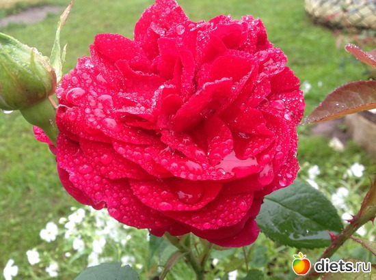 10 ����: ��� ����.