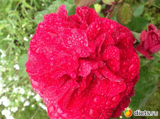 11 ����: ��� ����.