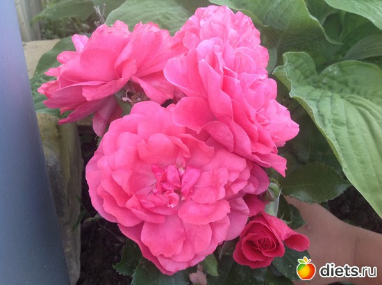 13 ����: ��� ����.