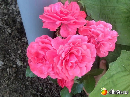 14 ����: ��� ����.