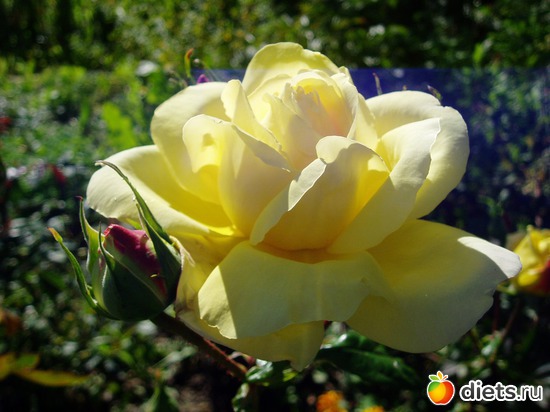 5 ����: ������� �����