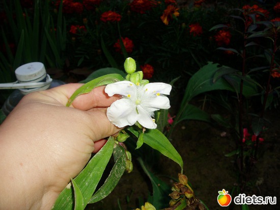 9 ����: ������� �����