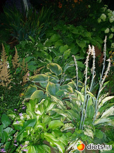 10 ����: ������� �����