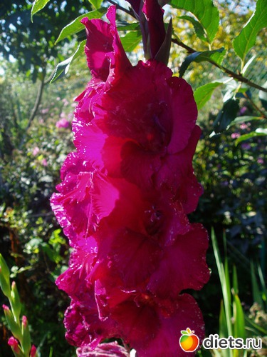 11 ����: ������� �����