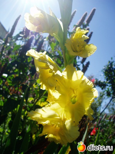 12 ����: ������� �����