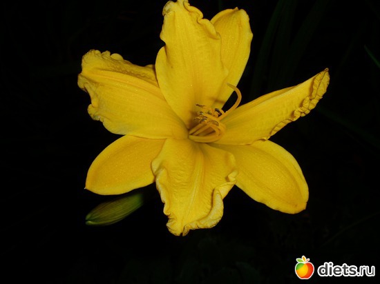 13 ����: ������� �����