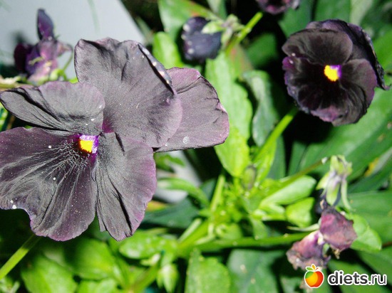 14 ����: ������� �����