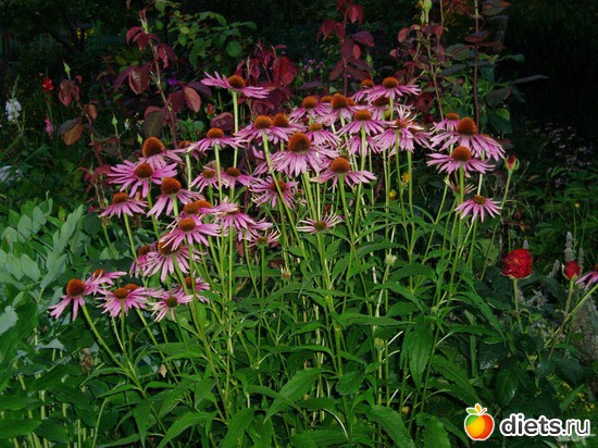 15 ����: ������� �����