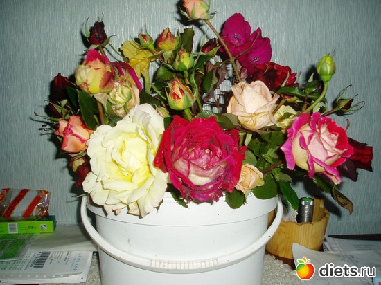 18 ����: ������� �����